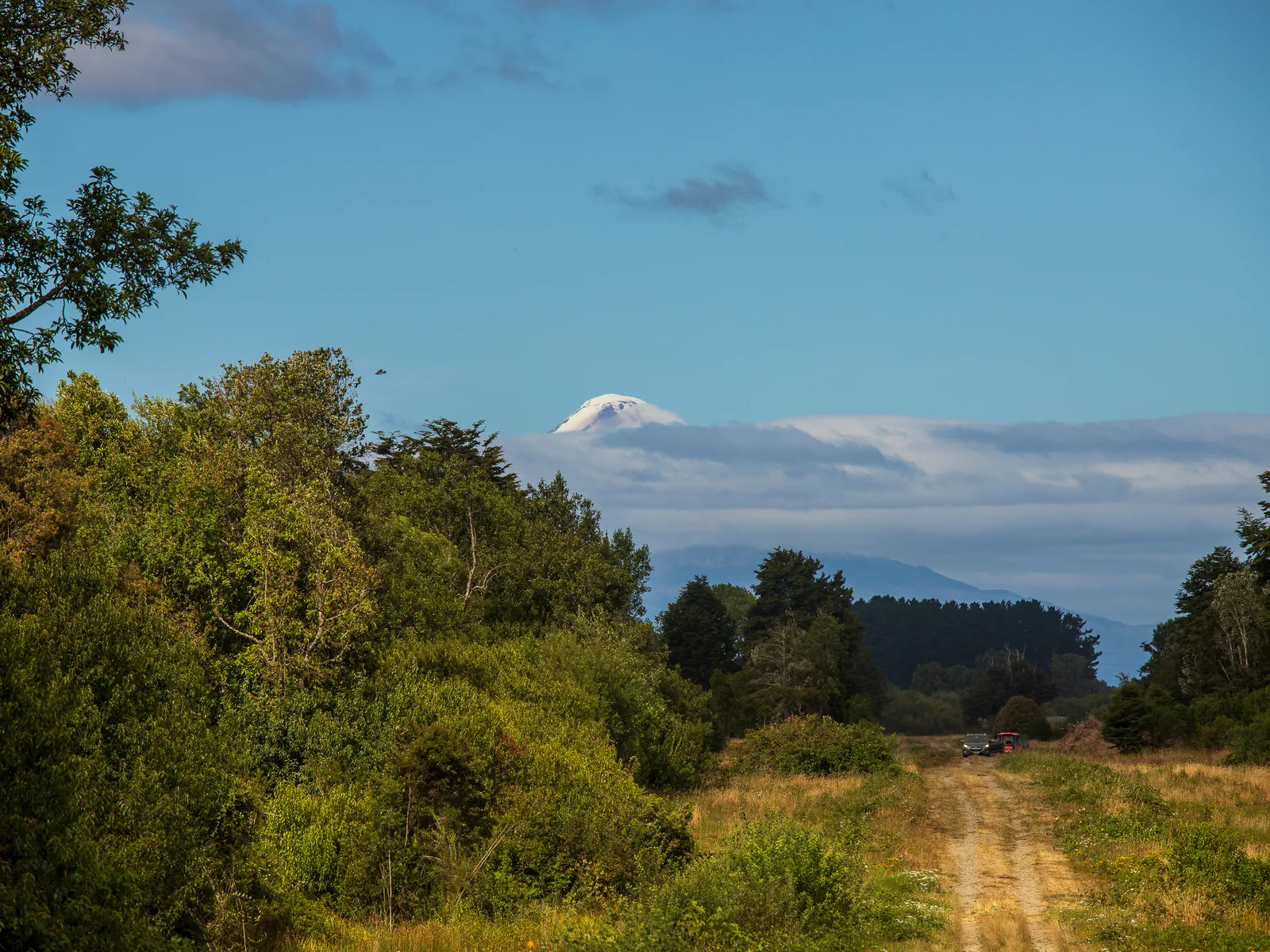 Paisaje de bosque y cordillera en Frutillar